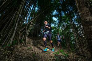 BIB: 
                            <button type="button" onclick="openModal(19395364)" class="btn btn-primary btn-sm float-right btn-popup" data-toggle="modal" data-target=".modal-high-quality">
                        <i class="fas fa-shopping-cart"></i> Add to Cart
                    </button>
                                            <button type="button" onclick="isThisMe(19395364, true)" class="btn btn-success btn-sm float-right btn-popup btn-isme hidden" data-toggle="tooltip" data-placement="bottom" title="นี่คือรูปของคุณใช่ไหม คลิกที่นี่เพื่อเอาเข้าอัลบั้ม">
                        <i class="fas fa-plus"></i> Add to album
                    </button>
                    <button type="button" onclick="isThisMe(19395364, false)" class="btn btn-warning btn-sm float-right btn-popup btn-isnotme hidden">
                        <i class="fas fa-ban"></i> Remove from album
                    </button>